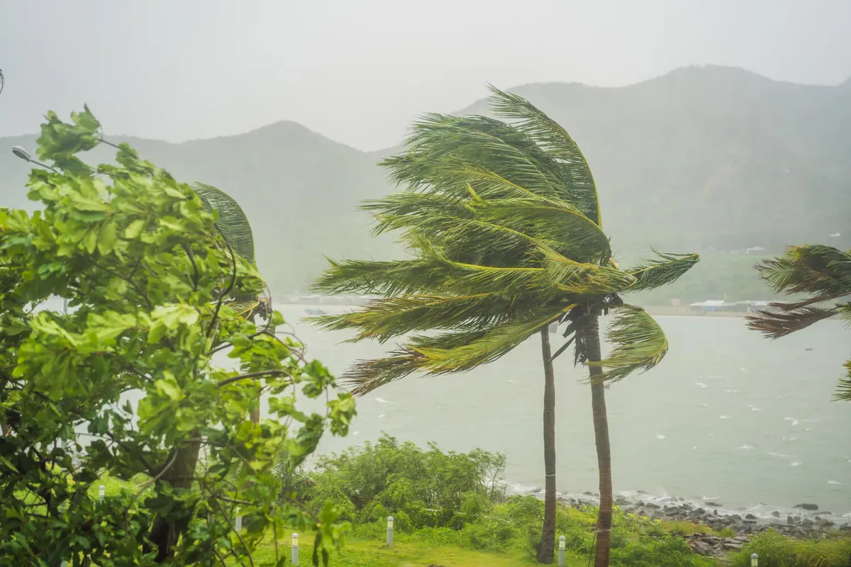 Dynamiques climatiques à Bali, élévation du niveau de la mer et hausse des températures