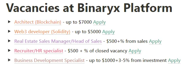 Équipe Binaryx en pleine croissance