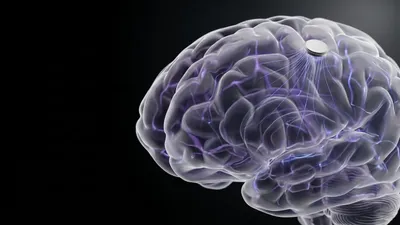 Neuralink Is Binaryx's First Pre-IPO Deal