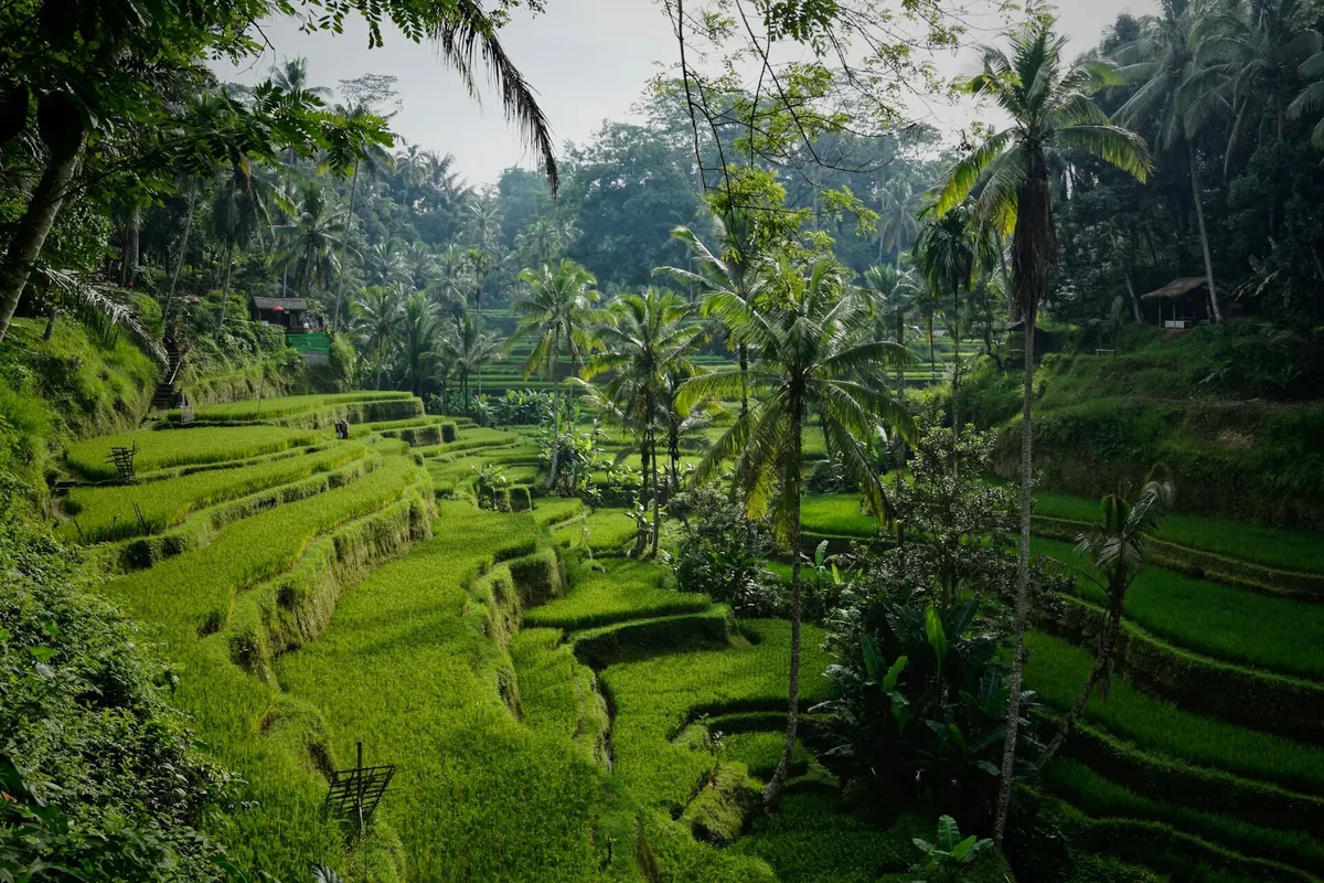 Bali, Indonésie : paradis insulaire ouvert au capital étranger